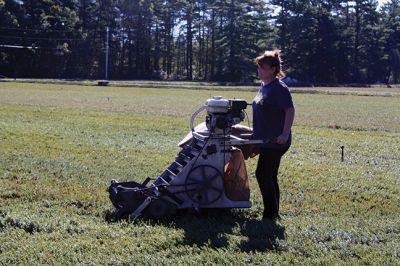 Dry Harvest
It’s cranberry season in Southeastern Massachusetts. With drought conditions, dry harvesting the berries has started largely unaffected by the lack of water thus far, but bog flooding later in the season could be affected if water sources are not replenished with rain. Paula and Dana Johnson of Rochester are in the midst of their dry pick, circling the bogs, one after the other, day in and day out with their mechanical Furfords and burlap sacks to harvest the cranberries fit for fresh fruit sale. 
