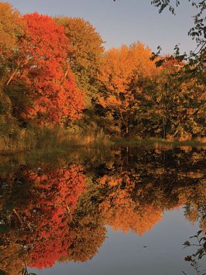 Mattapoisett River
Don Cuddy shared this stunning photo of the autumn leaves on the Mattapoisett River.
