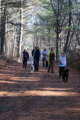 Hot-To-Trot Dog Walk
On November 30, a spring-like winter’s day, the Sippican Lands Trust held its 2nd annual Hot-To-Trot Post-Thanksgiving Day dog walk. About 12 dogs of all shapes and sizes brought their humans out for a guided tour of the White Eagle property located off Route 6 in Marion. Dogs received stylish orange neckerchiefs and dog treats. Photo by Marilou Newell
