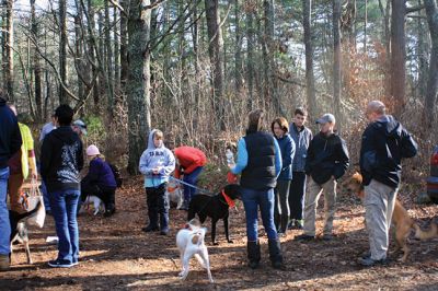 Hot-To-Trot Dog Walk
On November 30, a spring-like winter’s day, the Sippican Lands Trust held its 2nd annual Hot-To-Trot Post-Thanksgiving Day dog walk. About 12 dogs of all shapes and sizes brought their humans out for a guided tour of the White Eagle property located off Route 6 in Marion. Dogs received stylish orange neckerchiefs and dog treats. Photo by Marilou Newell
