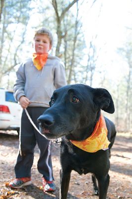 Hot to Trot
The third annual “Hot to Trot” dog walk hosted by the Sippican Lands Trust brought about 20 dogs and at least twice as many humans out for a post-Thanksgiving walk at the SLT’s White Eagle property in Marion on November 29. The property is about 1,200 contiguous acres of conservation land including 24 acres of cranberry bogs. Photos by Colin Veitch
