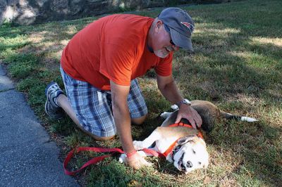 Dog Walk-a-thon
Freemin Bauer, 17, of Mattapoisett Boy Scout Troop 53, along with his fellow scouts and adult assistants, held a Dog Walk-a-thon on August 27 in Mattapoisett Village. Bauer’s event, part of his Eagle project, is to raise awareness for being a responsible dog owner and to help support the Fairhaven Animal Shelter. Proceeds from the event will be used to purchase supplies for repairs the scouts will make to the facility. Additional funds raised from the event will be donated to the shelter. Photos by Marilou 
