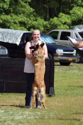 SouthCoast Working Dog Club
The SouthCoast Working Dog Club held a three-day Schutzhund trial at the Rochester Country Fairgrounds on May 27-29. The event is a competition in training, tracking, obedience, and protection for working breeds of dogs. Training Director Mario Gomes’ German shepherd, “Caribou,” is headed to the World Championship in Slovenia to represent the USA. Photos by Jean Perry and Denzil Ernstzen
