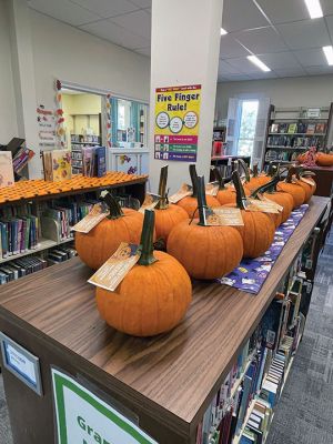 Great Pumpkin Contest
The Elizabeth Taber Library is once again celebrating Halloween with their Great Pumpkin Contest. Visitors to the library can check out a real pumpkin for free with their library card, then return their decorated pumpkin by Wednesday October 23 to be entered into the contest. The community will vote on their favorites during our Halloweekend celebration Thursday October 24 to Saturday October 26. Photo courtesy of Elizabeth Taber Library. October 10, 2024 edition
