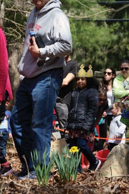 Sippican Lands Trust Easter Egg Hunt
The Sippican Lands Trust hosted another Easter egg hunt at its Peirson Woods property off Point Road on Sunday, April 14. It was a successful hunt for the dozen or so kids who found every single one of the 600 eggs hidden along the trail. Photos by Jean Perry
