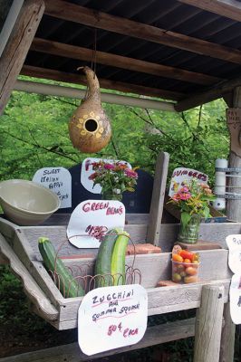 Selling Summer
Farm stands dot the scenery along the country roads of Rochester, offering the fruits (and veggies) of summer to passersby. This farm stand on Mattapoisett Road Saturday afternoon still had some of its garden’s harvest from that morning, the staples to a fresh summertime meal. Photo by Jean Perry
