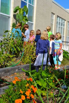 Sippican School Garden Club
Members of the Sippican School Garden Club have been busy this harvest season caring for their vegetables, herbs, and flowers after school. On September 23 it took ten enthusiastic little gardeners to pull up a ten-foot tall sunflower and carry it to “Weed Mountain.” After, the kids collected greens, grasses, and flowers to make an arrangement for the main office. Photo by Jean Perry
