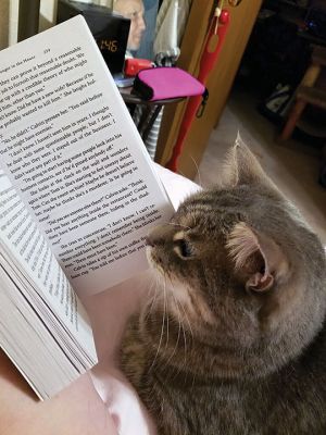 Gracie
Gracie catching up on her summer reading in Mattapoisett. Photo by Debbie Perry 
