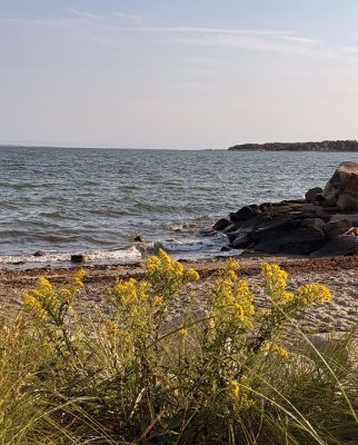 Ned's Point
Fall colors by Ned's Point by Jennifer Shepley.
