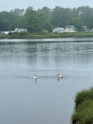 Mattapoisett
Photo by Jennifer Shepley

