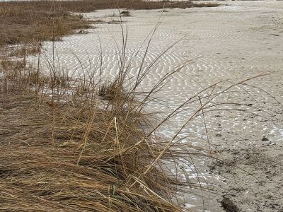 Scenes from Mattapoisett
Photo by Jen Shepley
