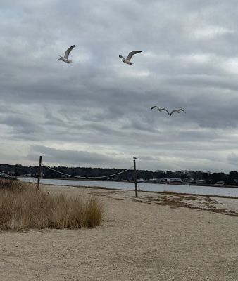 Scenes from Mattapoisett
Photo by Jen Shepley
