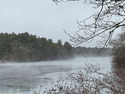 Scenes from Mattapoisett
Photo by Jen Shepley
