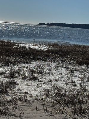 Mattapoisett
Photo by Jennifer Shepley
