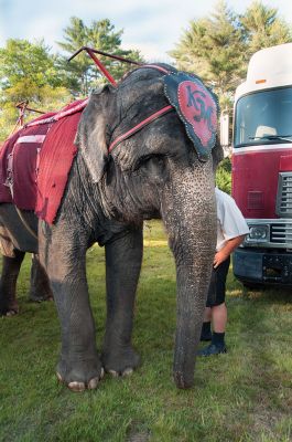 Kelly Miller Circus
The Rochester Lion’s Club brought the Kelly Miller Circus to Marion on June 25. Photo by Felix Perez
