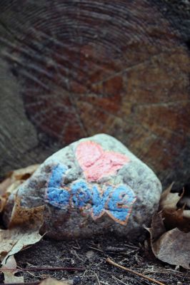 Kindness Rocks
Inspired by The Kindness Rocks Project, the Junior Friends of the Plumb Library have hidden brightly decorated stones along the paths at Church Wildlife Conservation Area in Rochester to serve as small messages of kindness to the passerby. Photos by Jean Perry
