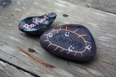 Kindness Rocks
Inspired by The Kindness Rocks Project, the Junior Friends of the Plumb Library have hidden brightly decorated stones along the paths at Church Wildlife Conservation Area in Rochester to serve as small messages of kindness to the passerby. Photos by Jean Perry
