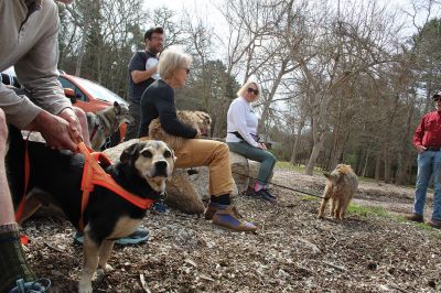 Kid Safety Workshop
OutHounds Adventure and Training Academy and the Mattapoisett Land Trust followed up on their recent Dog and Kid Safety workshop with a dog-walking Safety Adventure on April 25. The adventure was held in the Old Aucoot District, a collection of properties making up approximately 397 acres of protected land and trails. Photos by Mick Colageo
