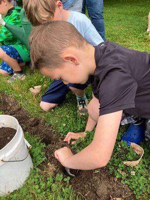 Planting Sunflowers
The Mattapoisett Land Trust and Center School put together an activity whereby first graders planted sunflowers in Dunseith Park in Mattapoisett. The sunflowers teach science to the children, are visible to cars passing by and show solidarity with Ukraine. Photos by Marilou Newell and Don Cuddy
