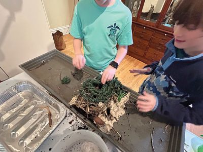 Marion Natural History Museum
After learning how to build a snake hibernaculum, a beaver lodge, and a bear den, the group tried their hand at creating miniatures for museum display. The beaver lodge was tested to see if it held water back and still kept the lodge dry inside. It was a huge success! Feel free to come in to view any of these creations during the museum’s open hours. Photo courtesy Elizabeth Leidhold.
