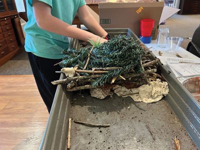 Marion Natural History Museum
After learning how to build a snake hibernaculum, a beaver lodge, and a bear den, the group tried their hand at creating miniatures for museum display. The beaver lodge was tested to see if it held water back and still kept the lodge dry inside. It was a huge success! Feel free to come in to view any of these creations during the museum’s open hours. Photo courtesy Elizabeth Leidhold.
