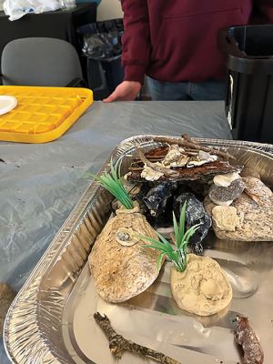 Marion Natural History Museum
After learning how to build a snake hibernaculum, a beaver lodge, and a bear den, the group tried their hand at creating miniatures for museum display. The beaver lodge was tested to see if it held water back and still kept the lodge dry inside. It was a huge success! Feel free to come in to view any of these creations during the museum’s open hours. Photo courtesy Elizabeth Leidhold.
