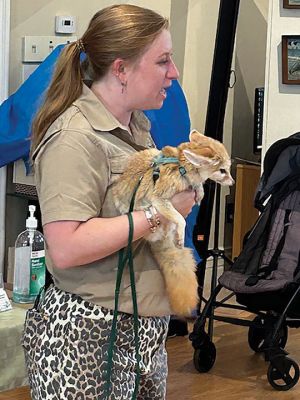 Marion Natural History Museum
The Marion Natural History Museum hosted Bethany Boucher of Amazing Animal Ambassadors Monday afternoon. We met Milo the Fennec Fox and had a chance to compare attributes of Peter Quill the hedgehog to Iris the tenrec. We also met a skunk, a ferret, and a very friendly chinchilla. Many thanks to the Marion Cultural Council for partially funding this event. Photos courtesy Elizabeth Leidhold
