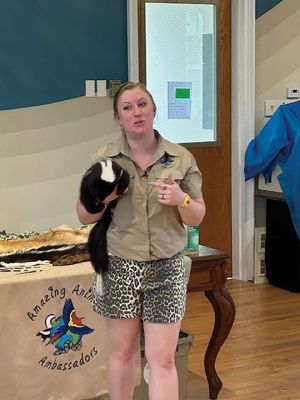 Marion Natural History Museum
The Marion Natural History Museum hosted Bethany Boucher of Amazing Animal Ambassadors Monday afternoon. We met Milo the Fennec Fox and had a chance to compare attributes of Peter Quill the hedgehog to Iris the tenrec. We also met a skunk, a ferret, and a very friendly chinchilla. Many thanks to the Marion Cultural Council for partially funding this event. Photos courtesy Elizabeth Leidhold
