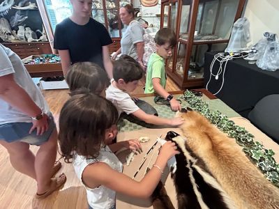 Marion Natural History Museum
The Marion Natural History Museum hosted Bethany Boucher of Amazing Animal Ambassadors Monday afternoon. We met Milo the Fennec Fox and had a chance to compare attributes of Peter Quill the hedgehog to Iris the tenrec. We also met a skunk, a ferret, and a very friendly chinchilla. Many thanks to the Marion Cultural Council for partially funding this event. Photos courtesy Elizabeth Leidhold

