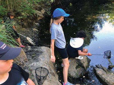 Marion Natural History Museum
The Marion Natural History Museum's Coastal Exploration group had a wonderful time last week exploring Marion's shoreline, inland wetlands and woodland areas. We collected examples of plankton, caught fish and frogs in our nets, investigated tide pools and took trips to Bird and Ram Island. The museum would like to thank Hannah Moore and David Wilson and Andrew Miller of the Marion Harbormaster Department for their help in making it such a special week. Photo courtesy of Elizabeth Leidhold
