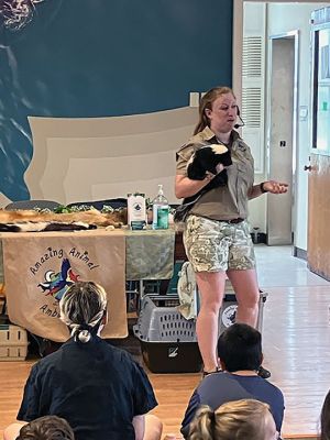 Marion Natural History Museum 
Last week, the Marion Natural History Museum welcomed Bethany Jakubson of Amazing Animal Ambassadors. Bethany brought in some of her most adorable mammals, including a Fennec Fox (native to Africa), a Tenrec (native to Madagascar), a Hedgehog named Peter Quill, a Chinchilla and a skunk. The museum wishes to thank the Marion Cultural Council for helping us to make this program available. Upcoming programs are located at marionmuseum.org. Photo courtesy Elizabeth Leidhold
