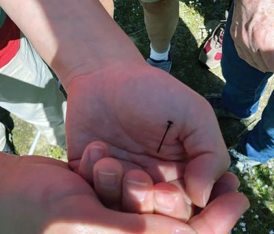 Marion Natural History Museum
The Marion Natural History Museum community group had a beautiful time walking through Grassi Bog looking for dragonflies and damselflies on May 22. We found Painted Skimmers, Fragile Forktails and Green Darners as well as several Blue Azure butterflies. Many thanks go to Blake Dinius, entomologist with the Plymouth County Extension Service, for sharing his expertise to make this day extra special for us. Photo courtesy Elizabeth Leidhold
