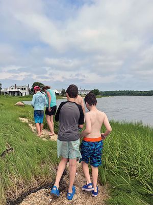 Marion Natural History Museum
The Marion Natural History Museum's Coastal Exploration group had a great time exploring freshwater and saltwater ecosystems this summer. We took a close look at tadpoles and salamanders undergoing metamorphosis, spotted turtles fighting with each other, a water snake, silversides and shrimp and much more. Many thanks to Marion Recreation Department for turning on the water at Washburn and to Adam Miller and Zack Ciesielski of the Marion Harbormaster's office for their help collecting plankton samples. View
