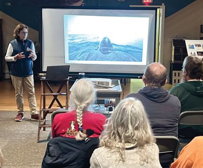 Marion Natural History Museum
Many thanks to Karen Dourdeville of Mass Audubon's Wellfleet sea turtle stranding network, for her presentation on Sea Turtles of Massachusetts. Karen spoke about the various species of sea turtles we might see in our waters, including the massive Leatherback, the Loggerhead, and the much smaller Kemp's Ridley turtle.  Every winter, there are many sea turtle strandings along the Cape Cod Bay side of the Cape. Karen went over the protocol that volunteers and staff follow to quickly retrieve and transport str
