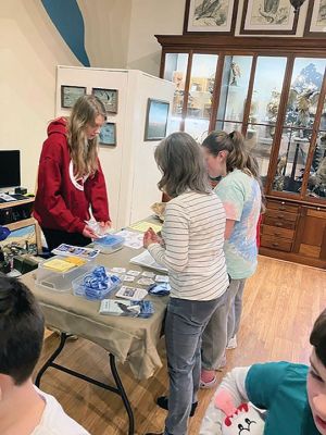 Marion Natural History Museum
On February 28, the Marion Natural History Museum's after school group enjoyed hearing about the efforts being made to protect the endangered Diamondback terrapin. Debra Ewing showed photos of the "Terrapin Garden" she helped to create in her neighborhood in Marion. The students had many interesting questions about this species, which were answered by Debra and two volunteers from New England Coastal Wildlife Alliance (NECWA). The students then broke into groups, exploring the artifacts they had brought in 
