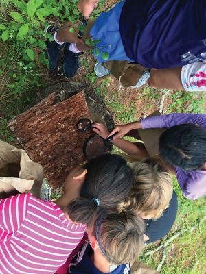 Marion Natural History Museum
The Marion Natural History Museum's Coastal Explorations group had a great time exploring our watershed last week. We turned over logs, caught frogs, and took a close look at soils in the woods at Washburn Park. Photos courtesy Elizabeth Leidhold
