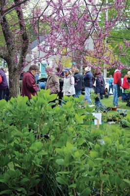 Marion Garden Group
The Marion Garden Group held its spring plant sale on Saturday in Bicentennial Park, where Elizabeth Taber’s statue kept a watchful eye on the proceedings. Photos by Mick Colageo
