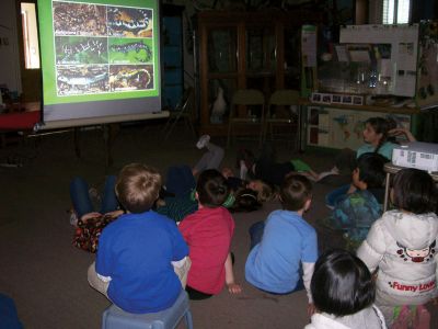 Marion Natural History Museum
The Marion Natural History Museum after-school program got a close up look at some amphibian egg masses recently.  The children were shown various egg masses and tadpoles of amphibian species found locally.  Don’t worry, all the animals made it safely back to their pools! Photo courtesy of Elizabeth Leidhold
