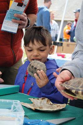 Spring Fest
The Sippican Lands Trust held its post town-wide clean up Spring Fest at Washburn Park on April 27, featuring music, inflatable archery, face painting, crafts, and booths to raise awareness of marine life and the effect of plastic on our oceans. Photos by Jean Perry
