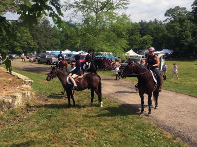 Marion 4th of July Horse Show
Quite the crowd cantered over to Washburn Park after the parade for the annual Marion 4th of July Horse Show. This is the 71st year of the horse show, which is supposedly the longest running horse show in the region.
