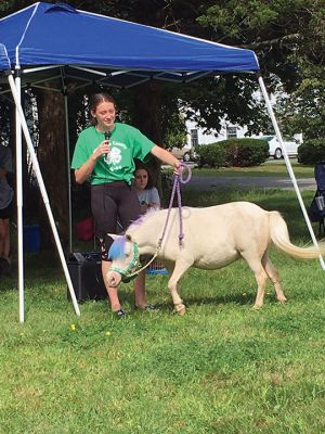 4H Tails-n-Trails
Members of the Rochester Chapter of 4H Tails-n-Trails visited the Plumb Library in Rochester on August 12. The children in attendance heard about mini-horses and different types of cows being raised by 4H members. 4H is welcoming new members: Call 774-404-7020 for details. Photos by Marilou Newell
