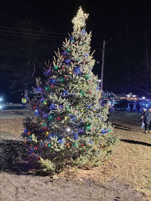 Annual Tree Lighting
Rochester Annual Tree Lighting.  Photo by Mike Decicco.
