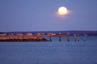 Hunter's Supermoon
Robert Price took this fabulous photo of the Hunter's Supermoon over Harbor Beach (Pocasset in background). October 24, 2024 edition
