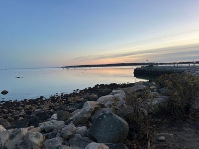 Harbor Photo
By Ruth Griffin
