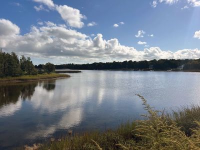 Mattapoisett Bike Trail
Ruth A Griffin shared this photo taken on the Mattapoisett Bike Trail
