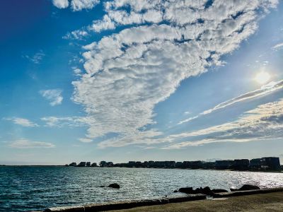 Point Connett
Ruth Griffin shared this photo taken at Point Connett in Mattapoisett.
