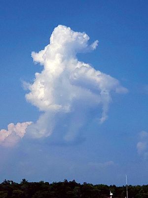 Salty the Seahorse in the clouds
While boating, Lauren Caulkins of Rochester spotted Salty the Seahorse in the clouds.
