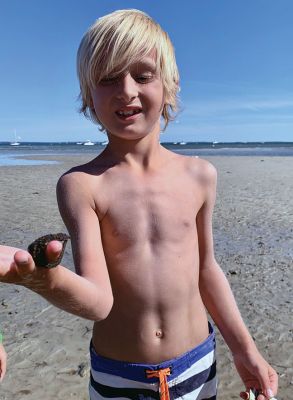 Seahorse
Oliver Zuther found a seahorse on Point Connett while he was exploring. He kept it in a bucket for an hour or so while other children and adults had a peek. With the help of another Point Connett buddy named CJ, the seahorse was safely released back into the water later in the afternoon. Photo courtesy Martha Zuther
