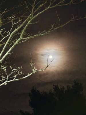 Full Moon over Mattapoisett
Jennifer Shepley shared this photo of the Full Moon over Mattapoisett
