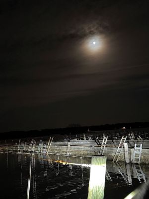 Full Moon over Mattapoisett
Jennifer Shepley shared this photo of the Full Moon over Mattapoisett
